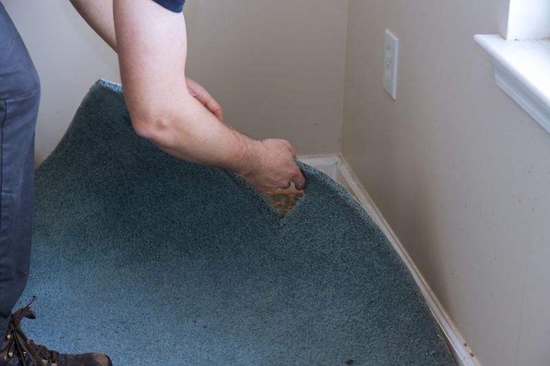 Basement Carpet Stretching in Denver, CO