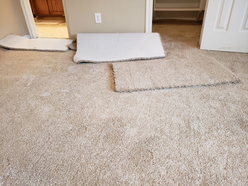 Carpet Burn Repair in Alpharetta, GA