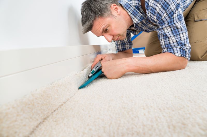 Carpet Burn Repair in Overland Park, KS