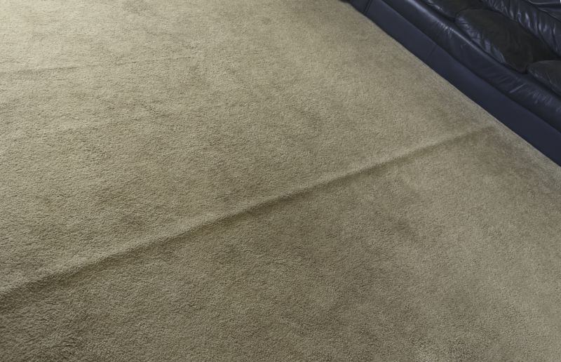 Carpet Foam Replacement in Denver County, CO