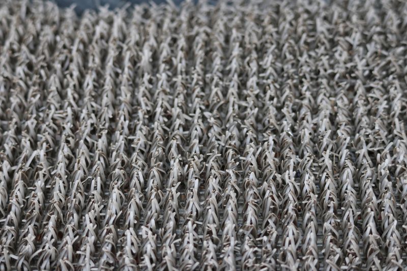 Carpet Stretching in Kansas City, KS