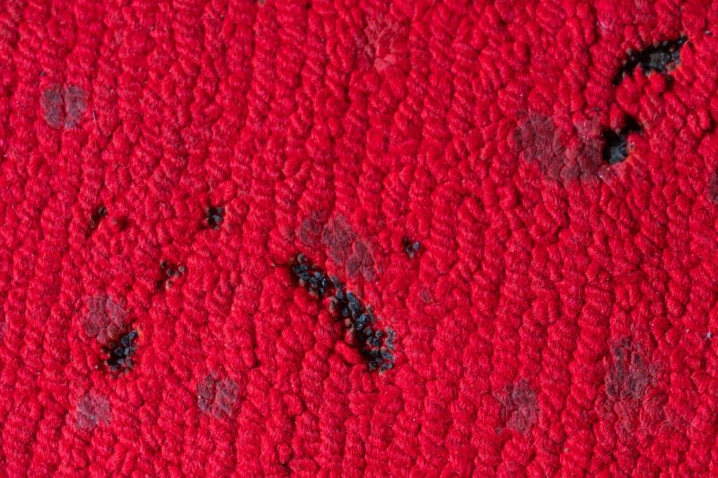Commercial Carpet Repair in Alpharetta, GA