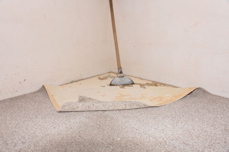 Doorway Carpet Repair in Alpharetta, GA