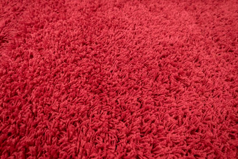 Pet Stain Carpet Repair in Overland Park, KS