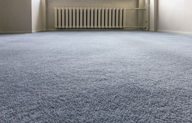 Pet Stain Carpet Repair in Kansas City, KS